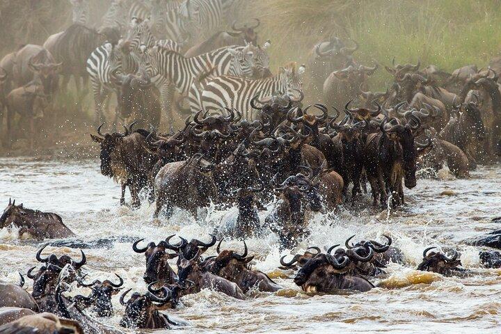3 Days and 2 Nights Adventure in Masai Mara