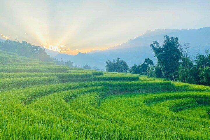 From Hà Nội ; Mu Cang Chai 3 Days 2 Nights By Car and Trekking