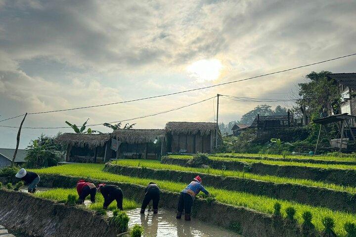 From Ha Noi: 3 Days and 2 Nights Sapa Trek with Local Guide