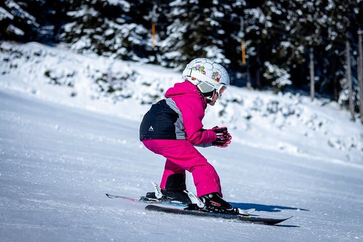 1-day Private Ski Lesson from Tokyo/optional Mt. Fuji Sightseeing