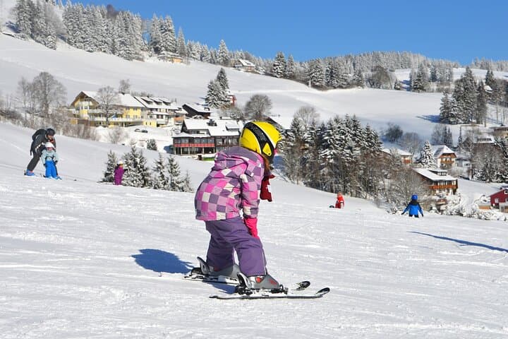 1-day Private Ski Lesson from Tokyo/optional Mt. Fuji Sightseeing