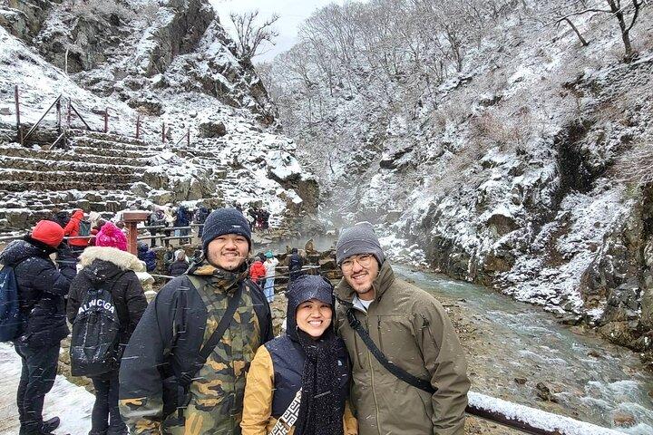 Explore Jigokudani Snow Monkey Park with a Local Guide