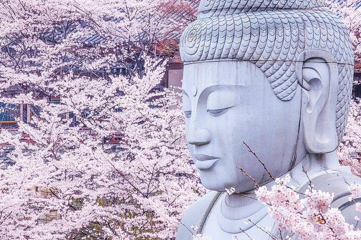 Cherry Blossom Buddha and Mt.Yoshino with Strawberry Picking Tour