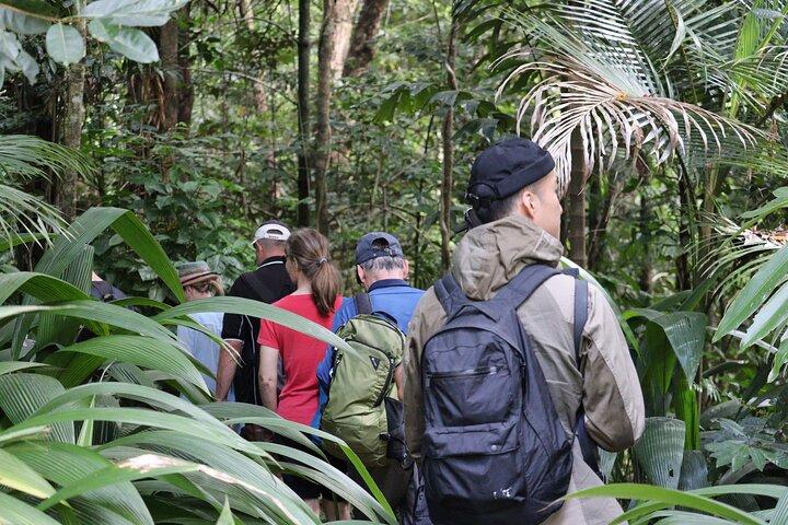 Cairns: Daintree & Cape Tribulation 2-Day Tour with Options