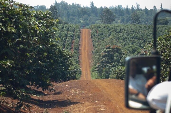 Private Tour to Karunguru Coffee Farm