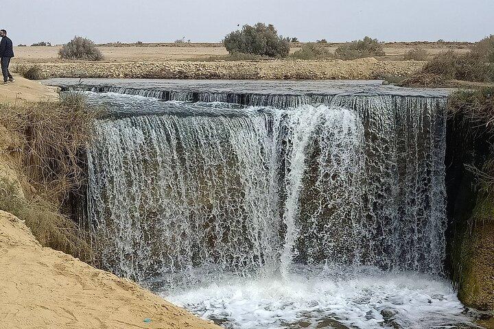 Private Day Tour To El Fayoum From Cairo