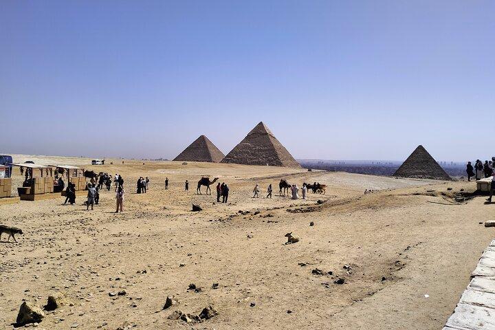 14 Days Egypt adventure GEM Nile sahara desert bus tour