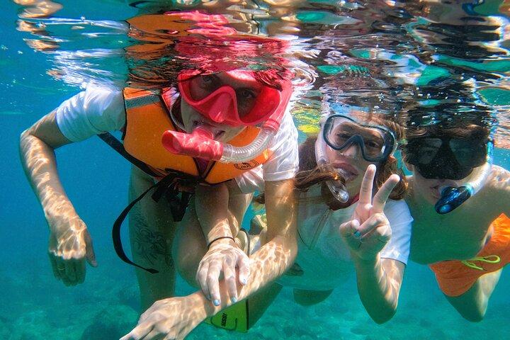 From Abu Dhabi: Snorkeling with turtles in Fujairah