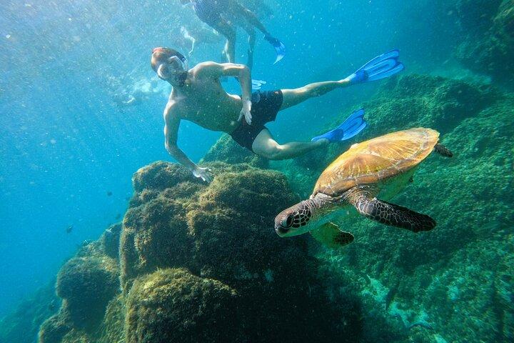 Snorkeling with turtles in Fujairah with Transfer