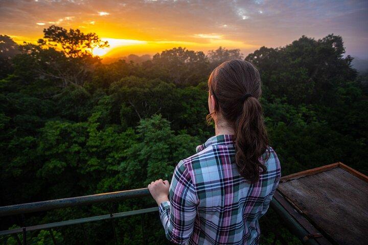 Puerto Maldonado: Jungle Experience - 4D/3N inside Rainforest
