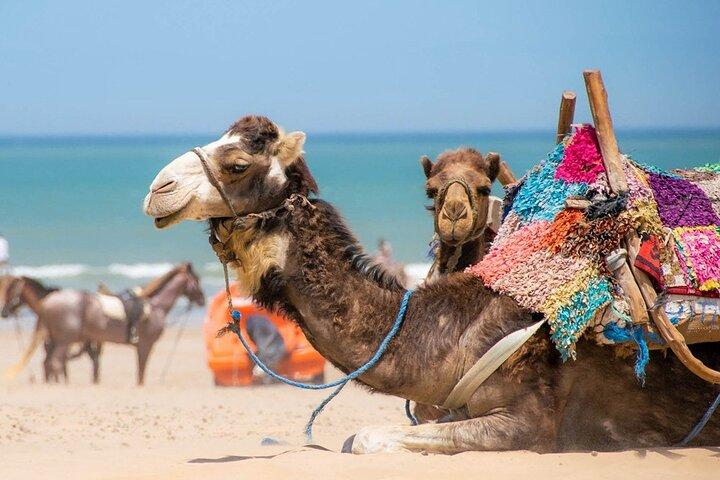 Private 3 days Marrakesh to Desert & Atlas Mountains & Essaouira
