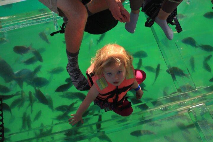 Tour to the Arch of Cabo San Lucas in a transparent glass boat