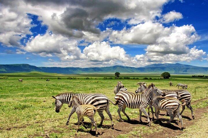 3-Day Safari to Tarangire, Ngorongoro & Kilimanjaro Foothills