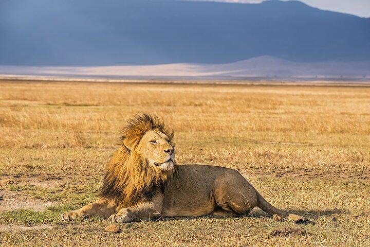 3-Day Safari to Tarangire, Ngorongoro & Kilimanjaro Foothills