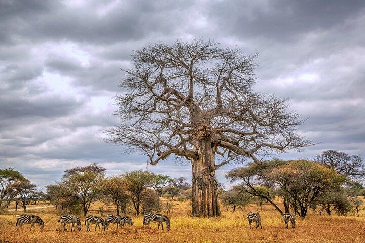 5 Days of Safari, Culture & Hot Springs – Tour from Arusha