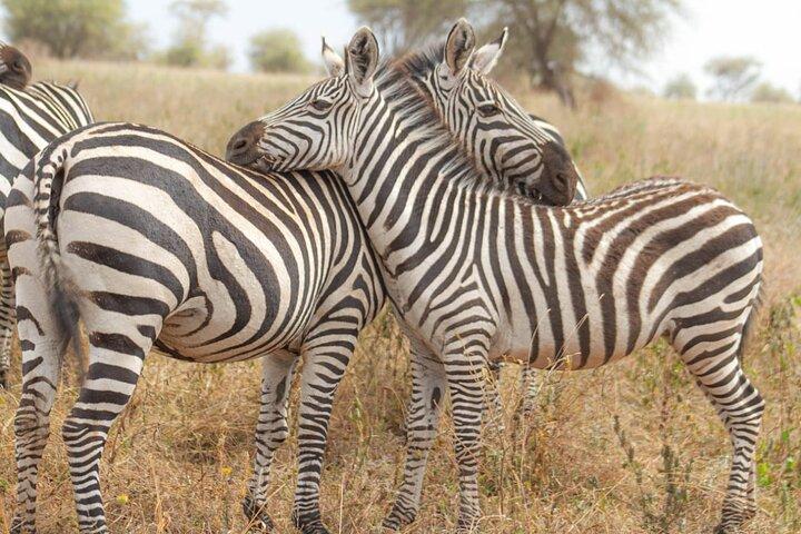 4 Days Tanzania Safari