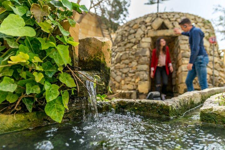 Prehistoric Temples, Limestone Heritage and Blue Grotto Tour