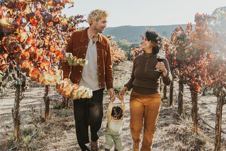 Napa and Sonoma Wine Tour from San Francisco