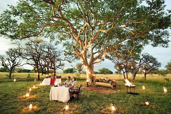 Private 7 Days Classic Safari Tour in Tanzania