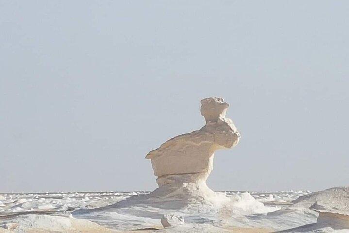 White & Black Desert Marvels and Bahariya Oasis Tour One day