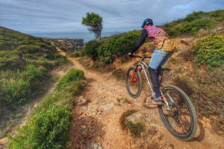 Private mountain bike tour in Lisbon/Sintra/Cascais