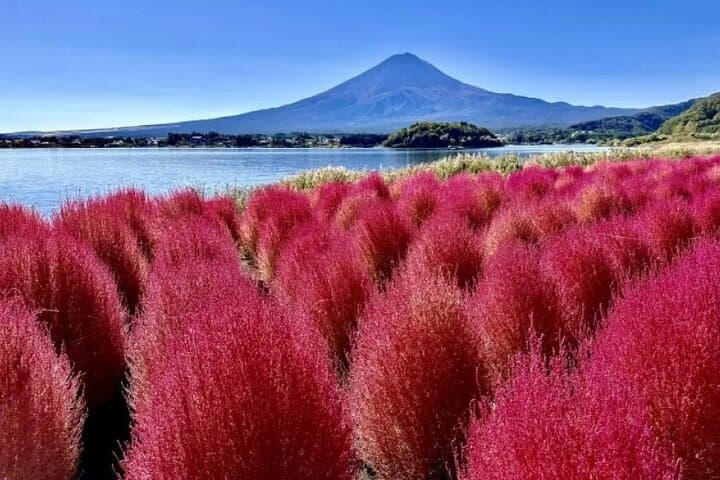 Mt. Fuji Panoramic Ropeway, 5th Station, And Oshino Hakkai Tour