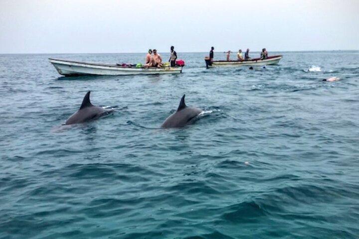 Mnemba Dolphin plus Jozan Forest and Aquarium Tour