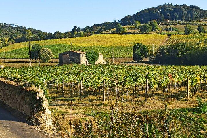 Florence–Siena Luxury Transfer via Chianti Wine Country
