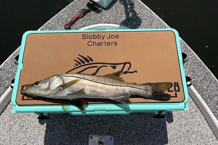 Private Fishing Charter in Tampa