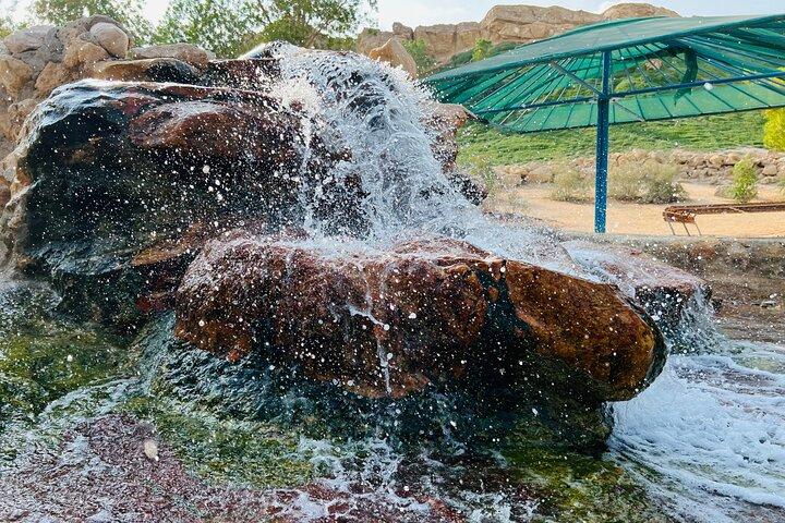 Full Day Al Ain City Tour with Lunch
