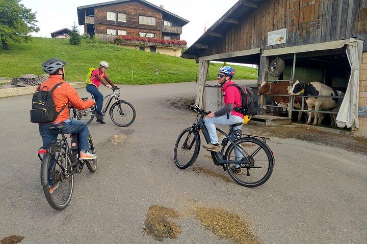 Panoramic E-Bike Tour with a Lake Cruise