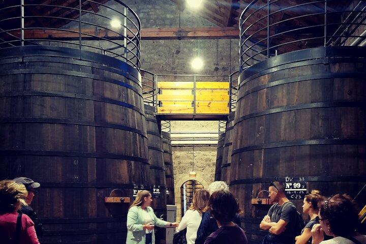 Half-Day Tour to 2 Wineries in Madrid and Chinchon Region