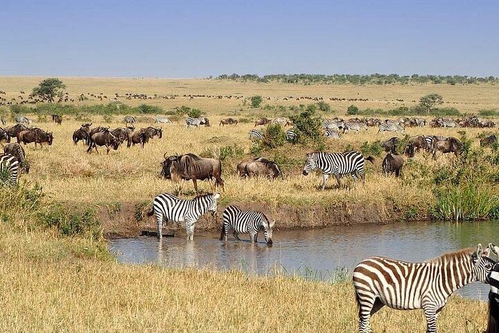 9 Days Savannah Dreams Private Tour