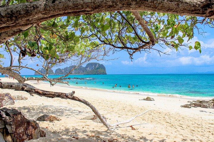 Full-Day Private Phi Phi Islands Speedboat Charter