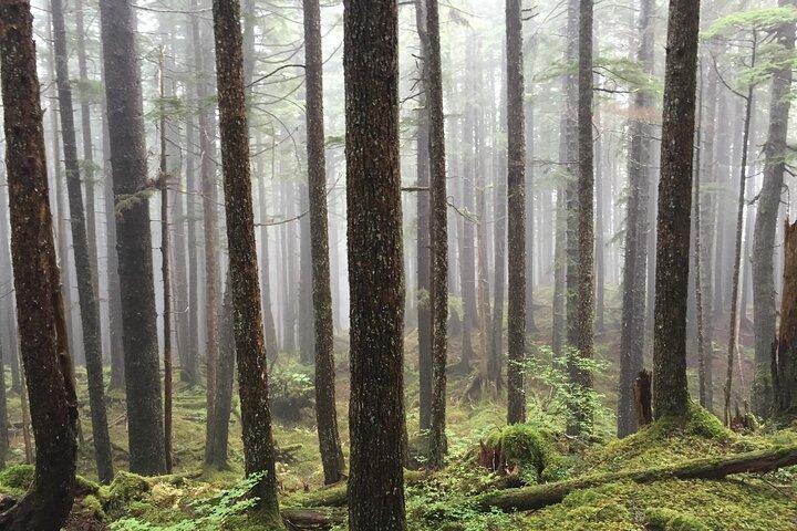 Icy Strait Village Tour and Crab Feast