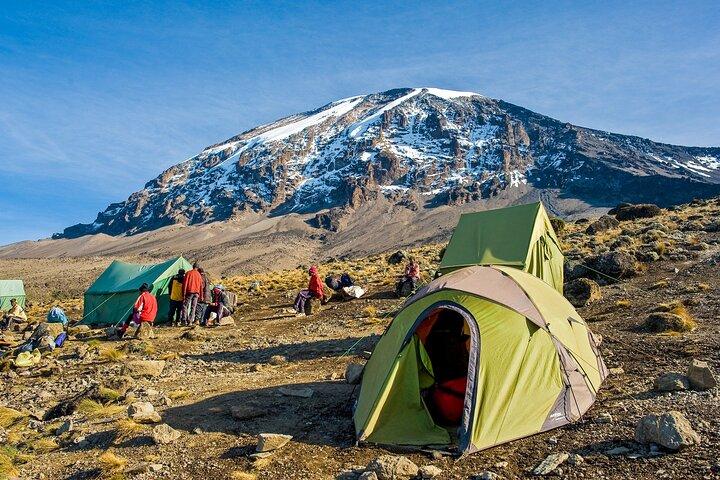 Climb Kilimanjaro 7 Days Machame Route