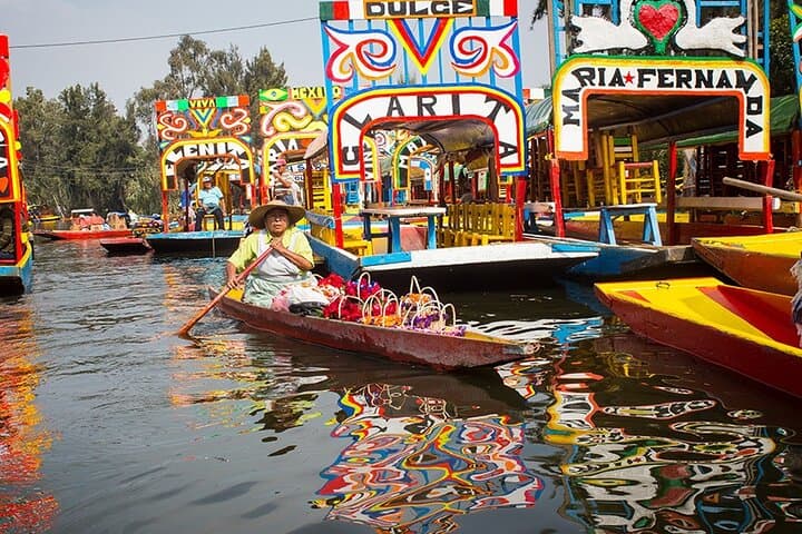 Mexico City: Xochimilco, Coyoacán and University City Tour