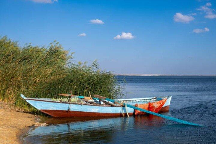 Overnight Camping Trip to El Fayoum Oasis from Cairo