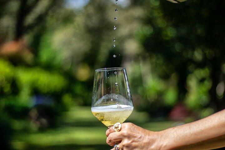 Private Vinho Verde Wine Tour from Porto with Lunch & Tastings