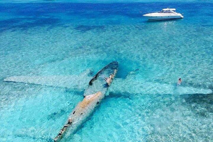Islas del Rosario plus Bioluminescence Experience