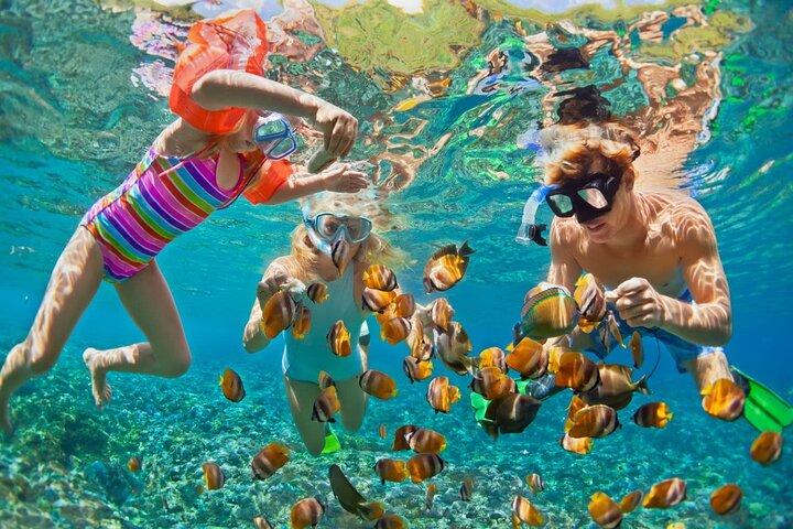 Islas del Rosario plus Bioluminescence Experience