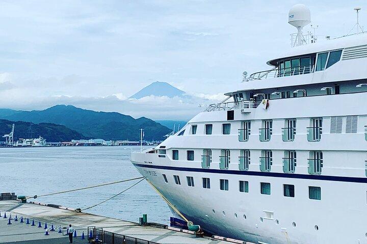 Private Sightseeing Tour from Shimizu Port / Sedan Taxi