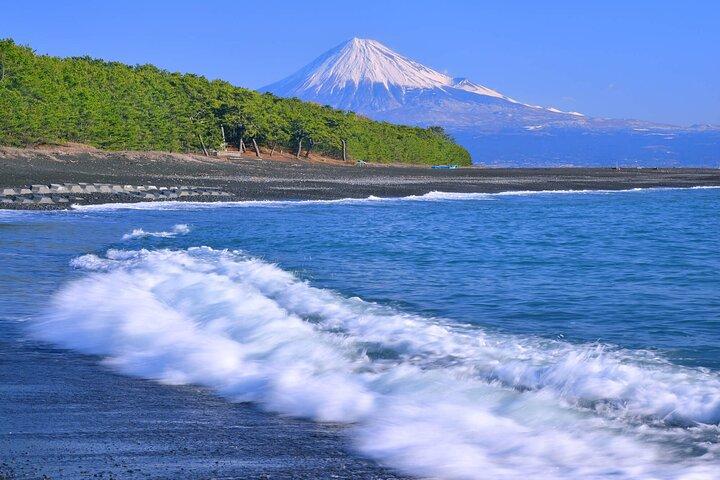 Private Sightseeing Tour from Shimizu Port / Sedan Taxi