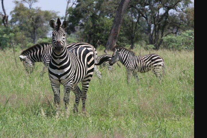 Private Day Tour To Mount Longonot National Park from Nairobi
