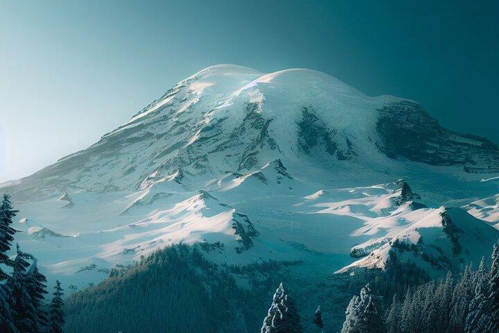 2 Day Washington State Tour in Mt Rainier and Seattle Highlights