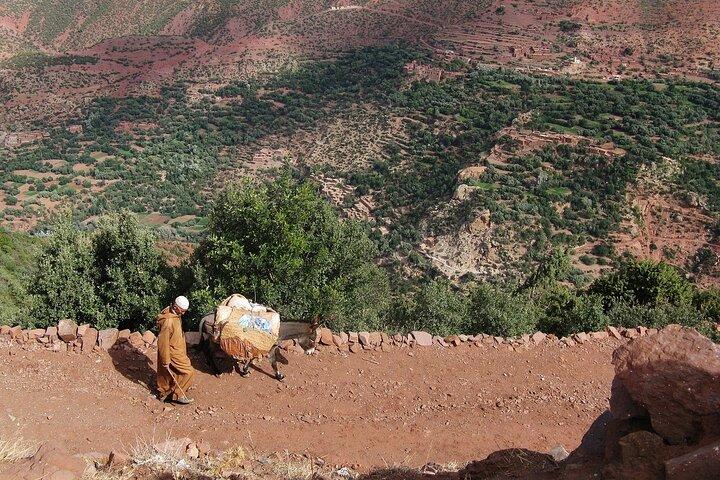 Private Day Trip to the 3 Valleys from Marrakech