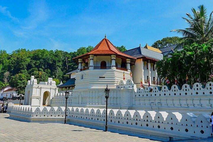 Colombo To Pinnawala & Kandy Luxury Day Tour by Car/Van/Bus