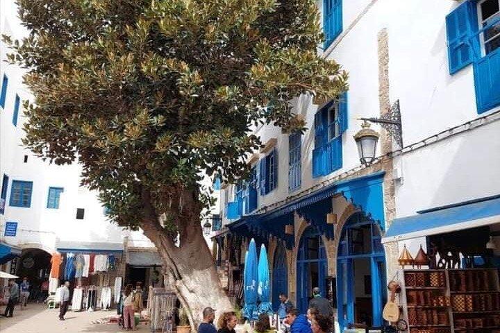 Essaouira city day trip from Marrakech