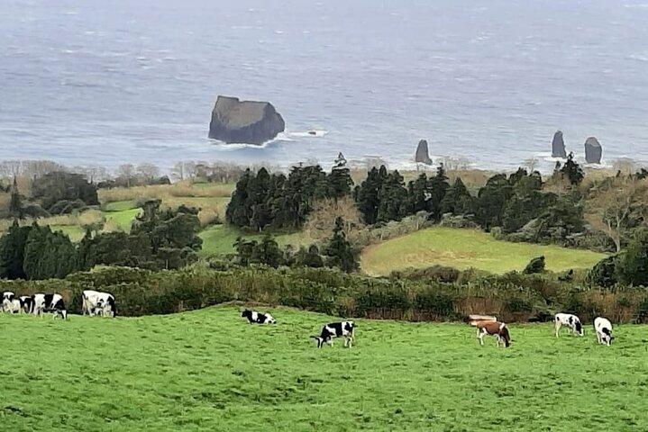 Guided Visit to the Crater and Volcano of Lagoa das Sete Cidades