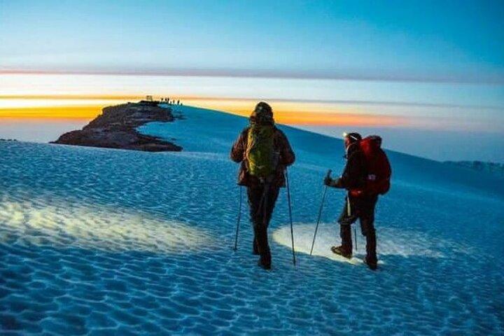 Lemosho Route 8 Days Kilimanjaro Climbing Tour